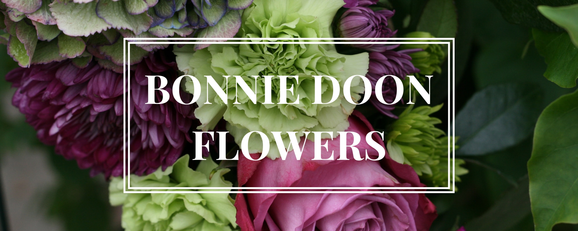 Flower Delivery to Edmonton by Bonnie Doon Flowers